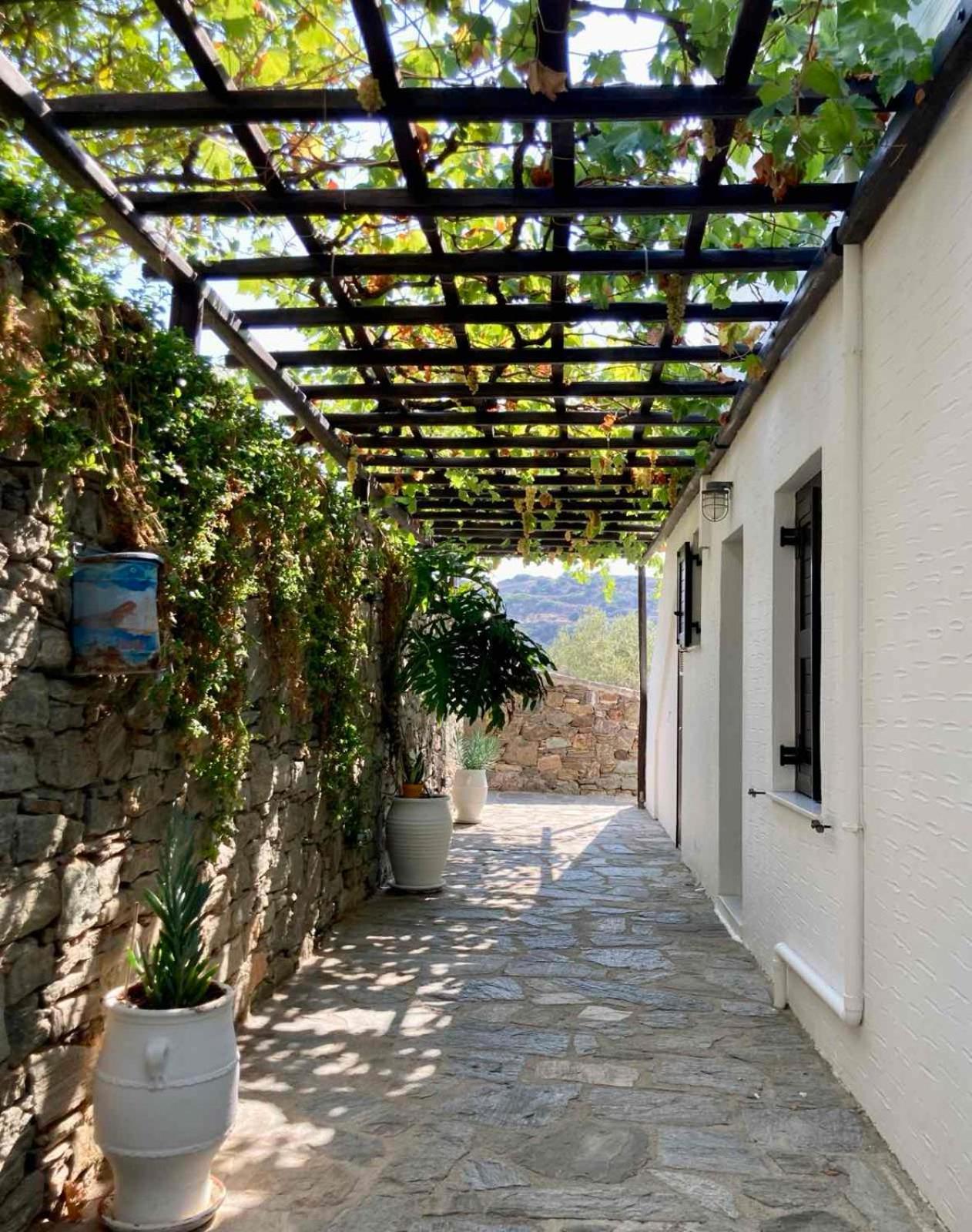 Syrou Lotos Studios & Apartments (Adults Only) Kíni Szoba fotó